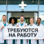 Предлагаю дачу для проживания 1